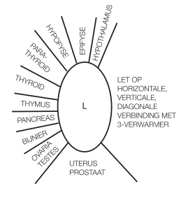 kleurenpunctuur